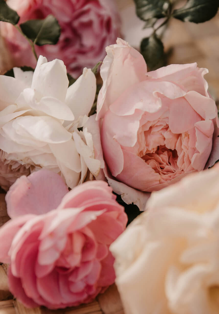 anita-austvika-onhSSKszNCg-unsplash