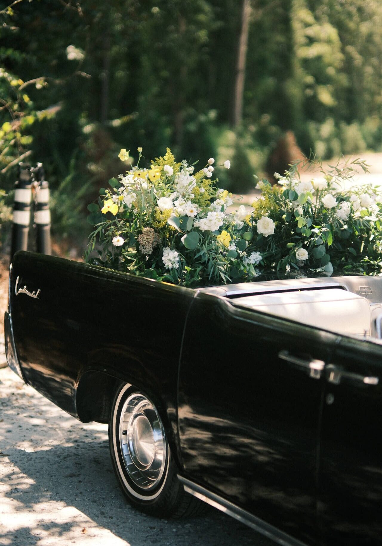 taylor-heery-VWUifssyUuM-unsplash